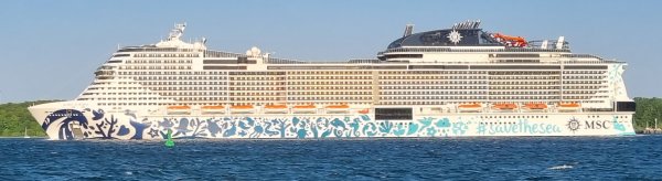 Fot: MSC Euribia in Fahrt und mit voller Bemalung