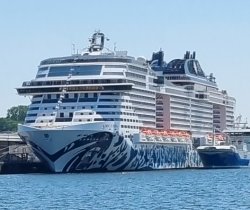 Foto: MSC Euribia am Kai