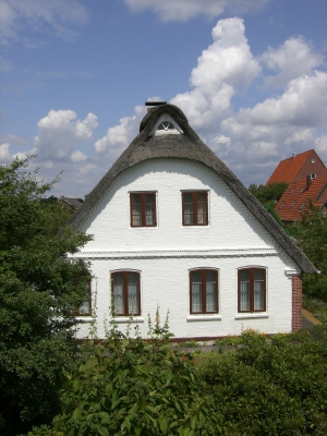 Haus amDeich - Altes Land